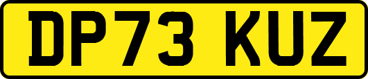 DP73KUZ