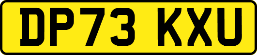 DP73KXU