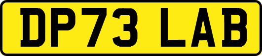 DP73LAB