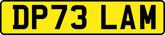 DP73LAM