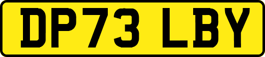 DP73LBY