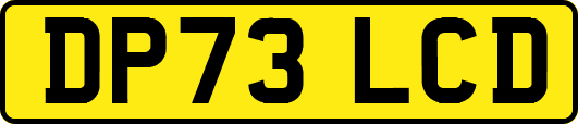 DP73LCD