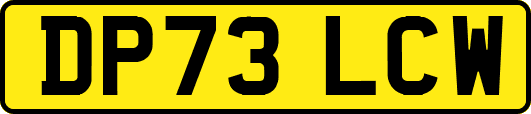 DP73LCW