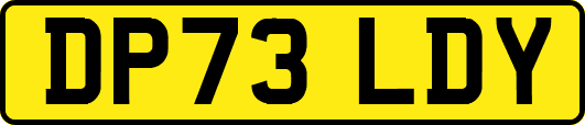 DP73LDY
