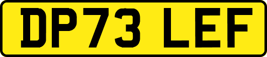 DP73LEF