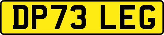 DP73LEG