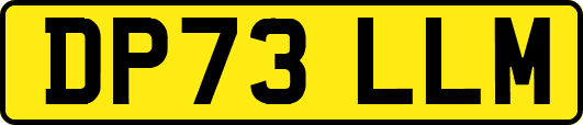 DP73LLM
