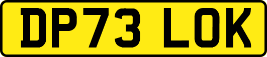 DP73LOK