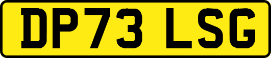 DP73LSG