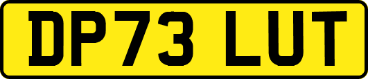 DP73LUT