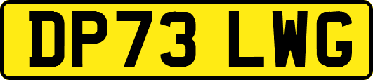DP73LWG