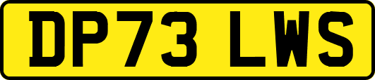 DP73LWS