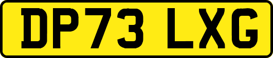 DP73LXG