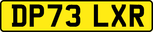 DP73LXR