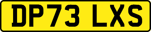 DP73LXS