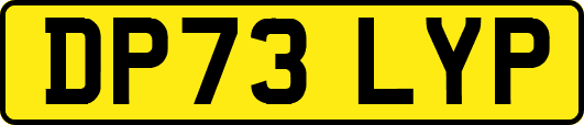 DP73LYP