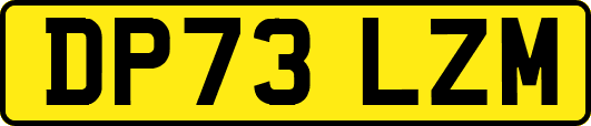 DP73LZM
