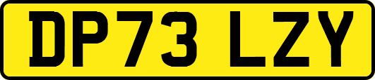 DP73LZY