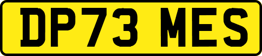 DP73MES