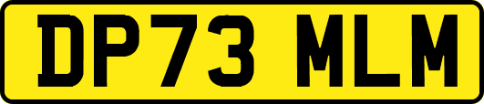 DP73MLM