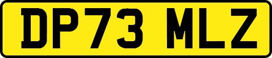 DP73MLZ