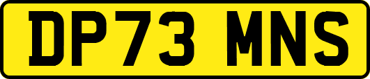 DP73MNS