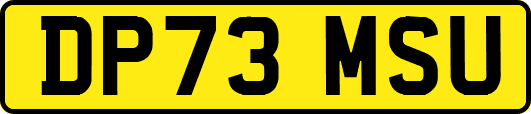 DP73MSU