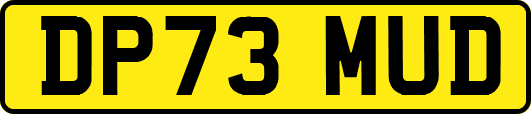 DP73MUD