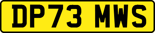 DP73MWS