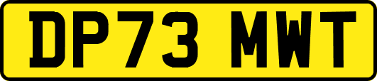DP73MWT