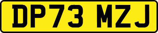 DP73MZJ