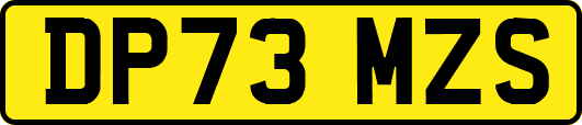 DP73MZS