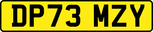 DP73MZY