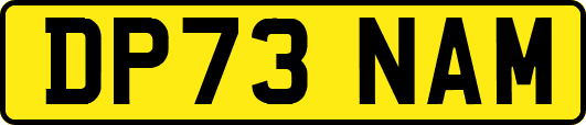 DP73NAM
