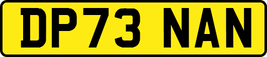DP73NAN