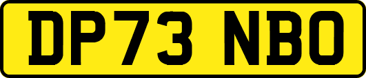 DP73NBO