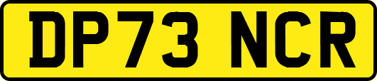 DP73NCR