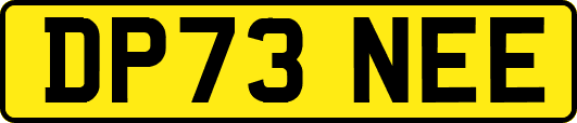 DP73NEE