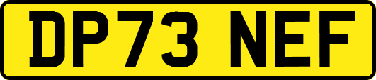 DP73NEF