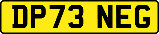 DP73NEG