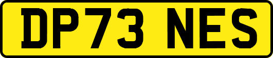 DP73NES