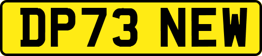 DP73NEW