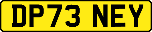 DP73NEY