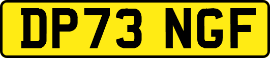 DP73NGF