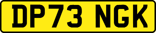 DP73NGK