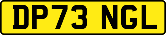 DP73NGL