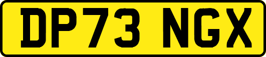 DP73NGX