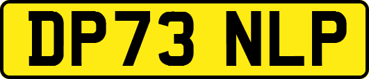 DP73NLP