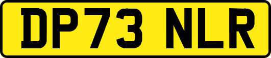 DP73NLR