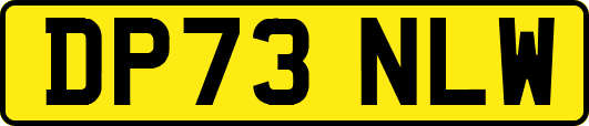 DP73NLW